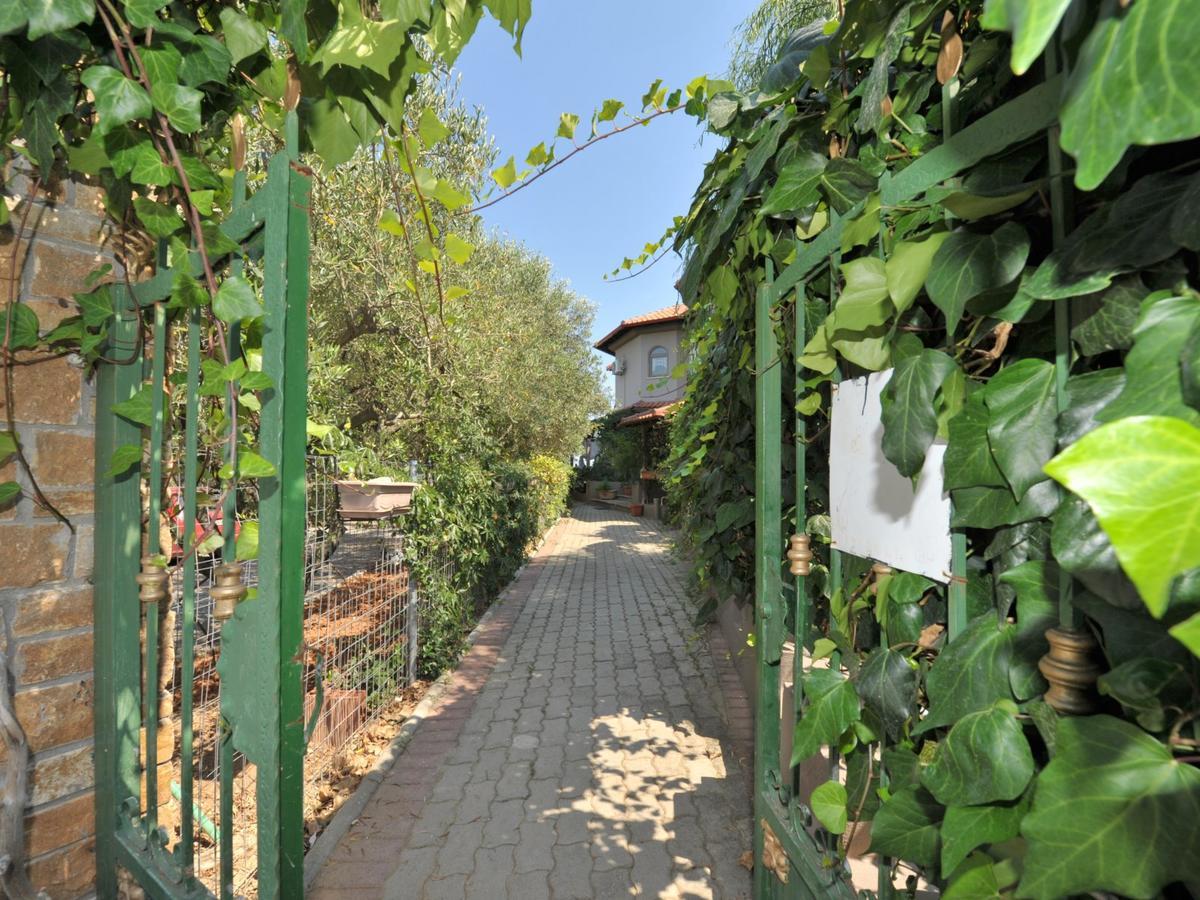 Alice Wonderland Home Nea Flogita Halkidiki Kültér fotó